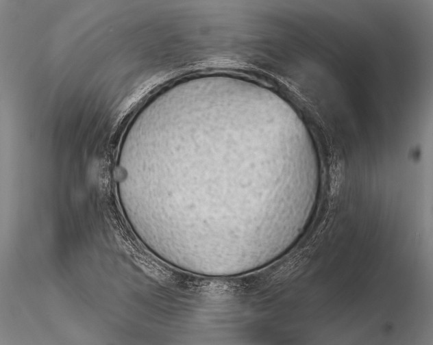 X0000116381266200912161452