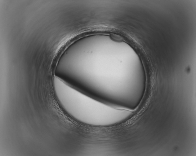 X0000116381267200912161452