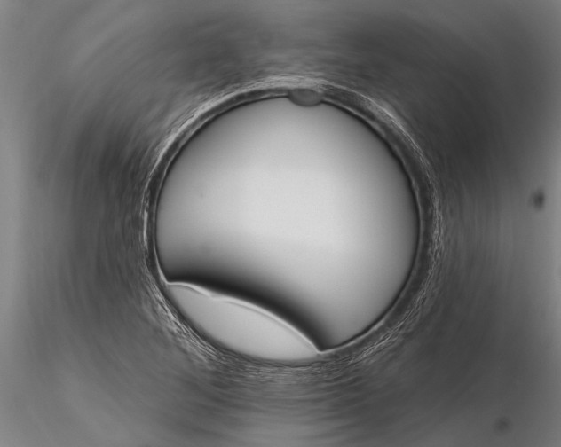 X0000116381268200912161452