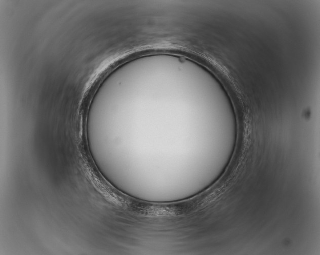 X0000116381270200912161452