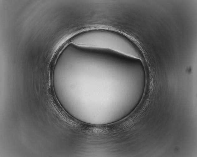 X0000116381271200912161452
