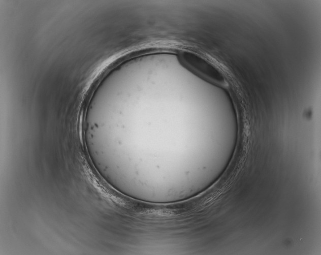 X0000116381272200912161452