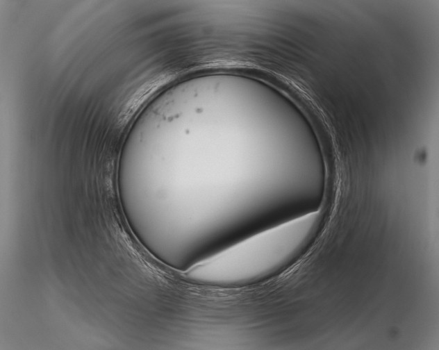 X0000116381273200912161452