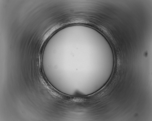 X0000116381274200912161452