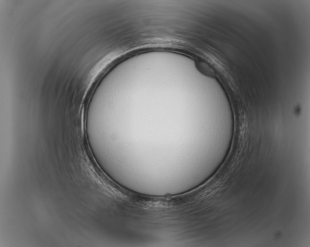 X0000116381275200912161452