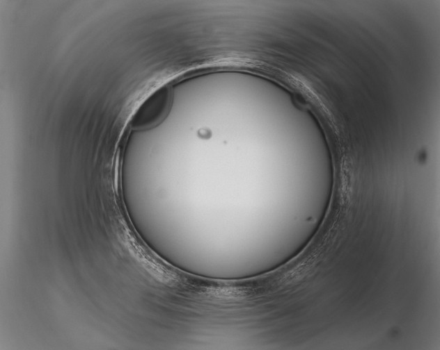 X0000116381276200912161452