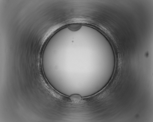 X0000116381277200912161452