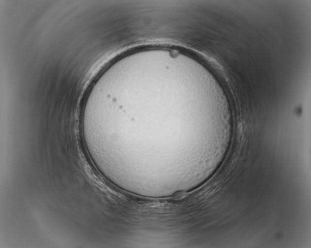 X0000116381279200912161452