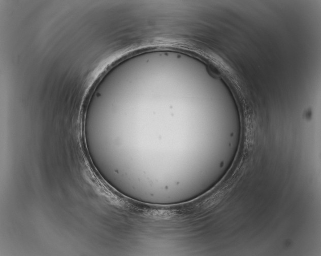 X0000116381280200912161452