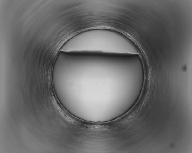 X0000116381281200912161452