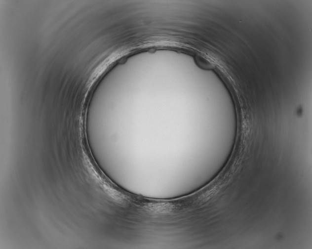 X0000116381282200912161452