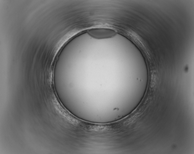 X0000116381284200912161452