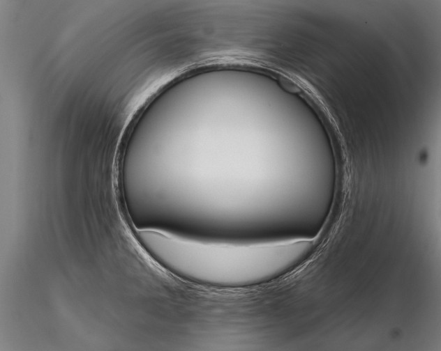 X0000116381285200912161452