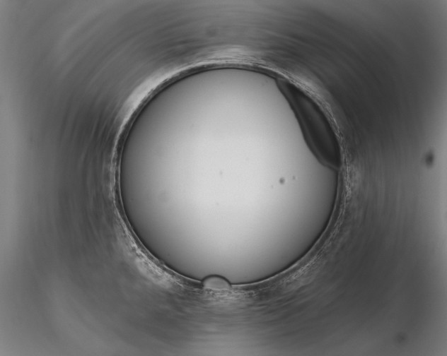 X0000116381288200912161452