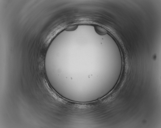 X0000116381289200912161452