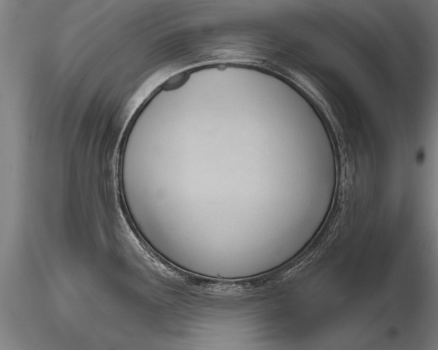 X0000116381291200912161452