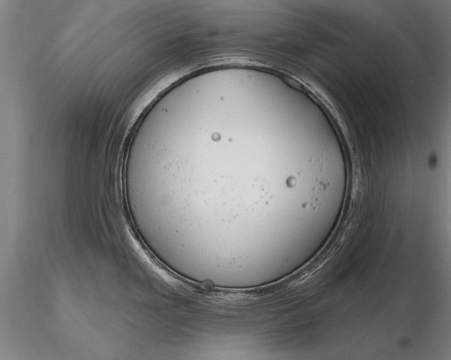 X0000116381293200912161452