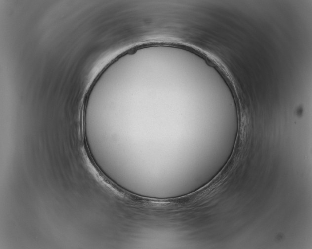 X0000116381295200912161452