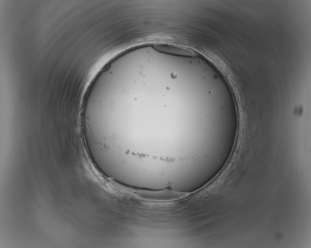 X0000116381296200912161452