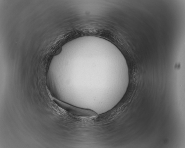 X0000116381297200912161451