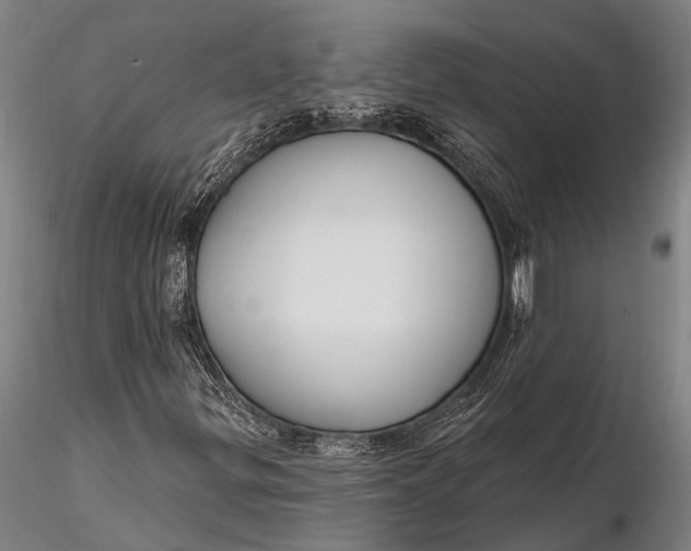 X0000116381299200912161451