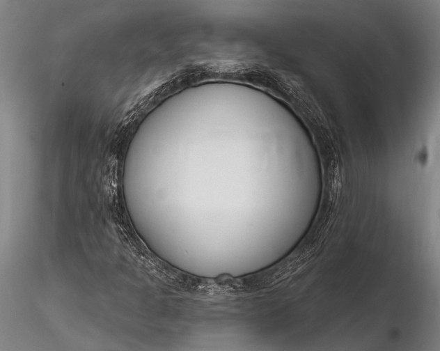 X0000116381301200912161451