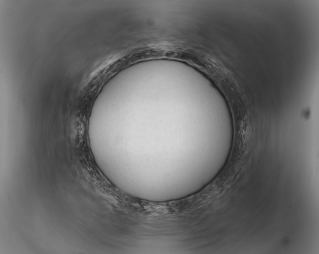 X0000116381302200912161451