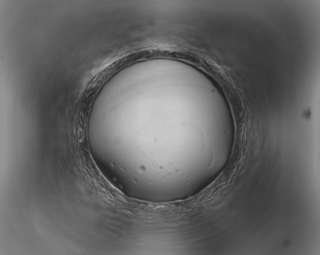 X0000116381303200912161451