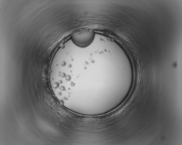 X0000116381305200912161452