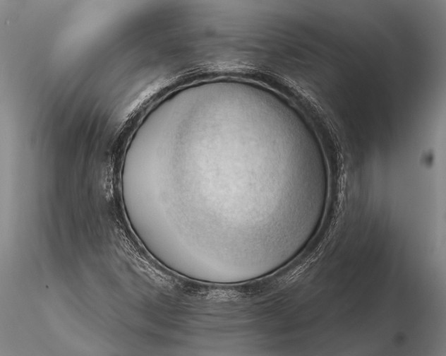 X0000116381306200912161452