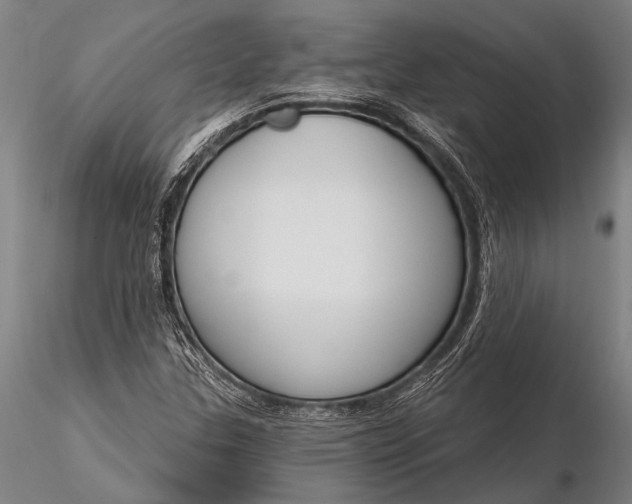 X0000116381307200912161452