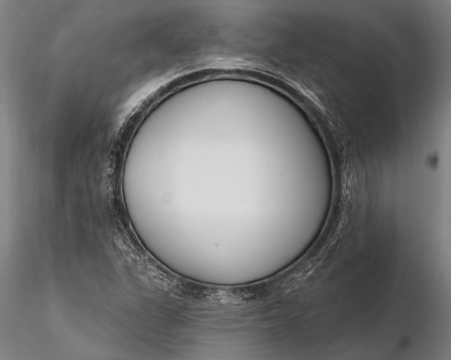 X0000116381311200912161452