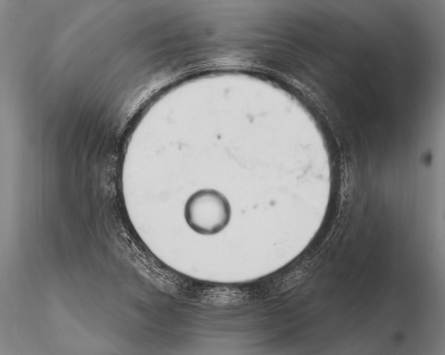 X0000116381314200912161452