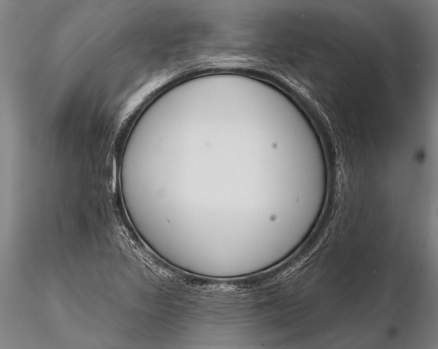X0000116381317200912161452