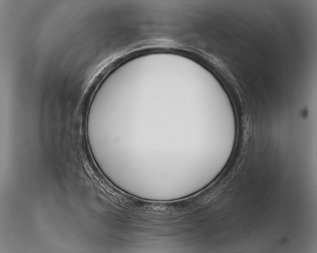 X0000116381318200912161452