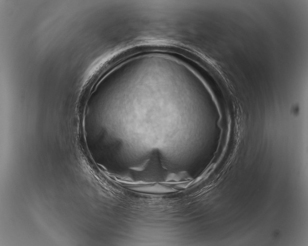 X0000116381319200912161452