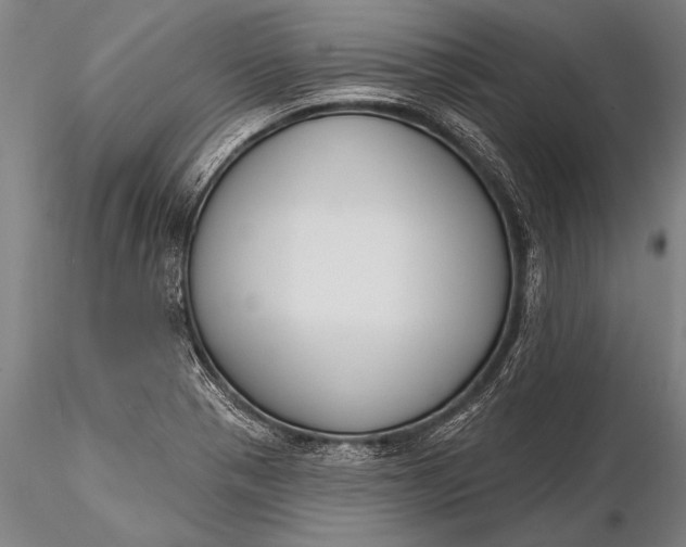 X0000116381321200912161452