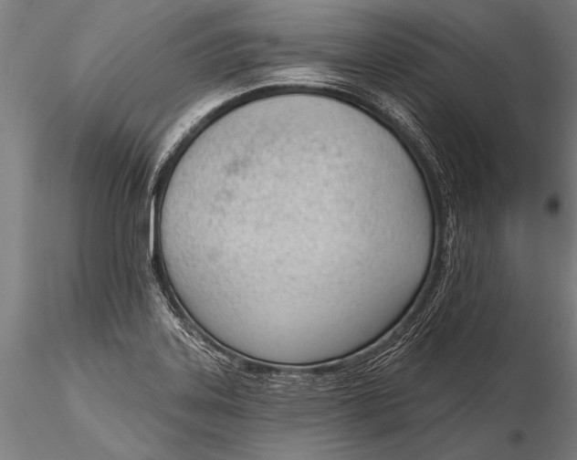 X0000116381323200912161452