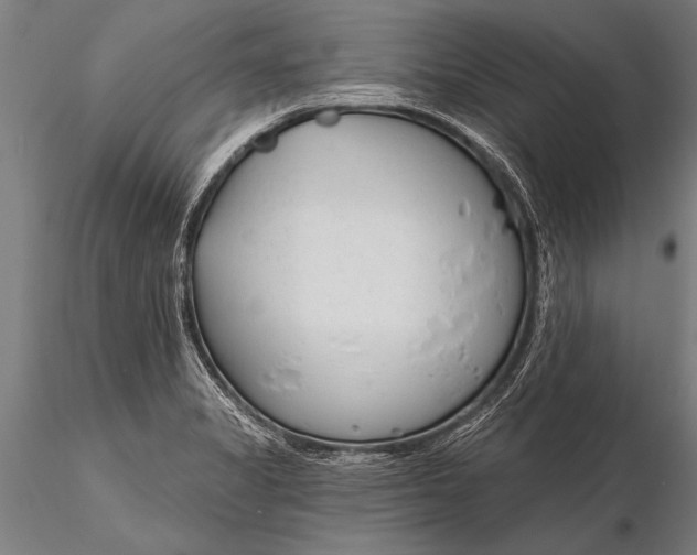 X0000116381325200912161452