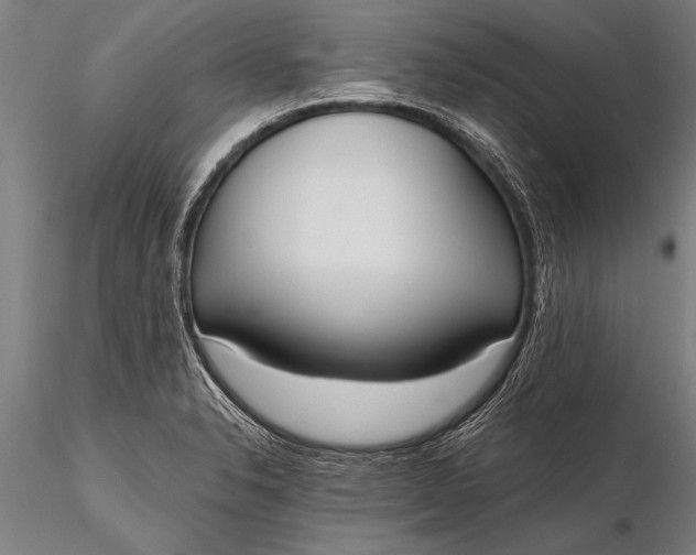 X0000116381326200912161452