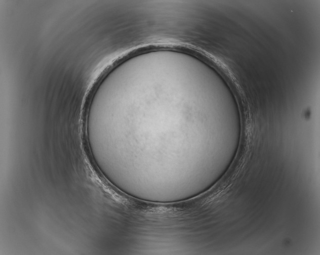 X0000116381327200912161452