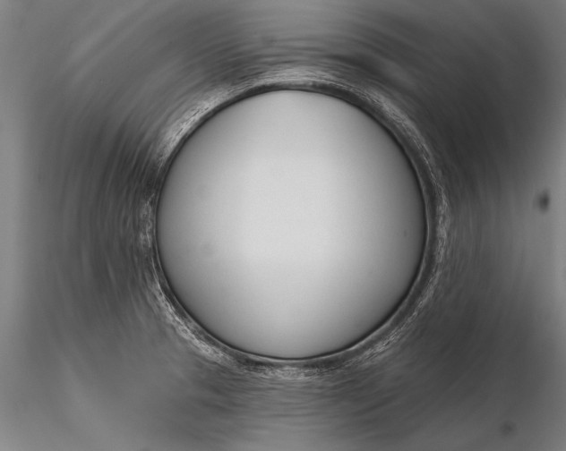 X0000116381329200912161452