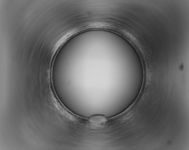 X0000116381330200912161452