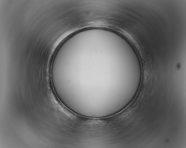X0000116381331200912161452