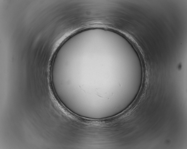 X0000116381333200912161452