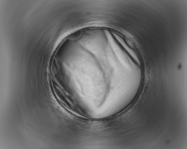 X0000116381334200912161452