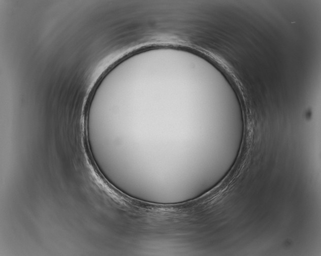 X0000116381335200912161452