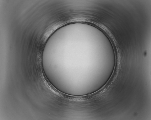 X0000116381337200912161452