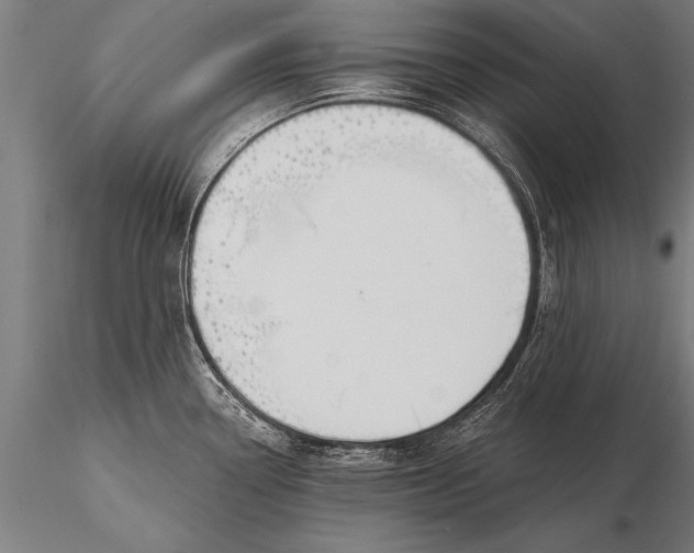 X0000116381338200912161452