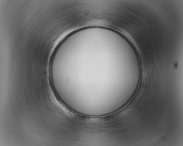 X0000116381339200912161452